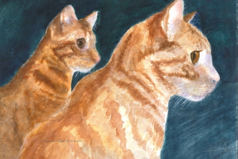 Seamus and Mr. Murphy