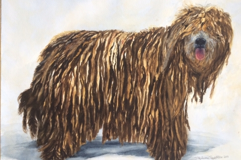Bergamasco