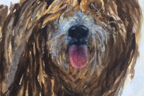 IMG_1731-1-e1513712460906