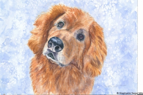 Pet Portrait GoldenRetriever.BassetHound