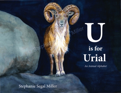 U-is-for-Urial-Stephanie-Segal-Miller-ISBN 9781733234818