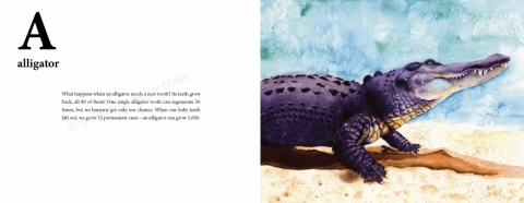 U-is-for-Urial-Stephanie-Segal-Miller-ISBN-9781733234818