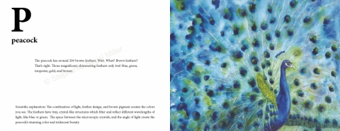 U-is-for-Urial-Stephanie-Segal-Miller-ISBN 9781733234818