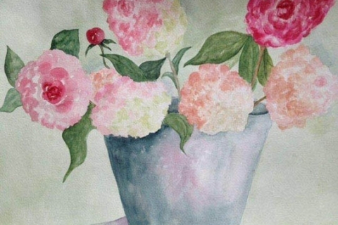 10-Peonies watercolor Stephanie Segal Miller