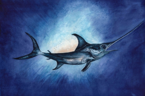 72057 Swordfish WC SSM original sm