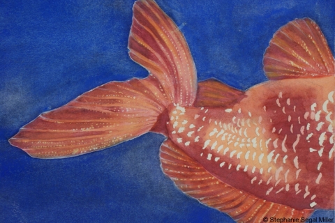 Fish watercolor
