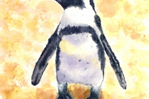 Penguin-Camden-Aquarium-WC-SSM-77823