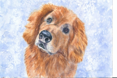 Pet-Portrait-GoldenRetriever.BassetHound