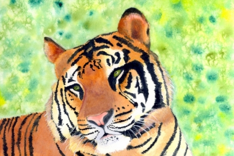 SSMiller-Watercolor-Tiger-Bali-200-DPI