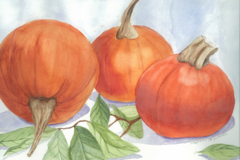 Pumpkins watercolor Stephanie Segal Miller