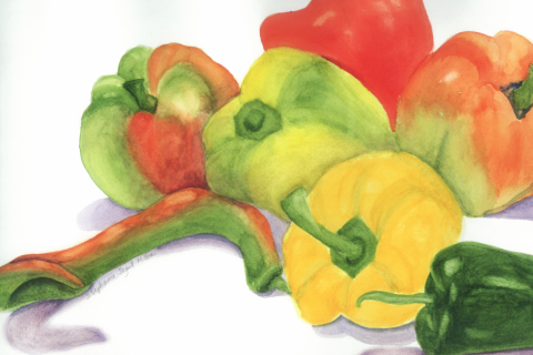 Peppers watercolor Stephanie Segal Miller