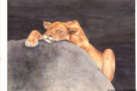 Lioness Tanzania watercolor 12x16